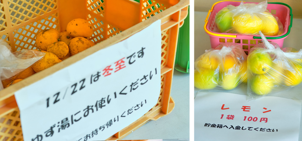 リバーファーム収穫祭