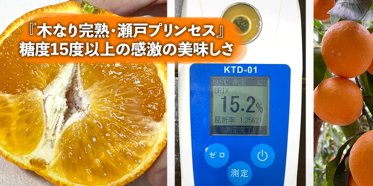 スライドショー