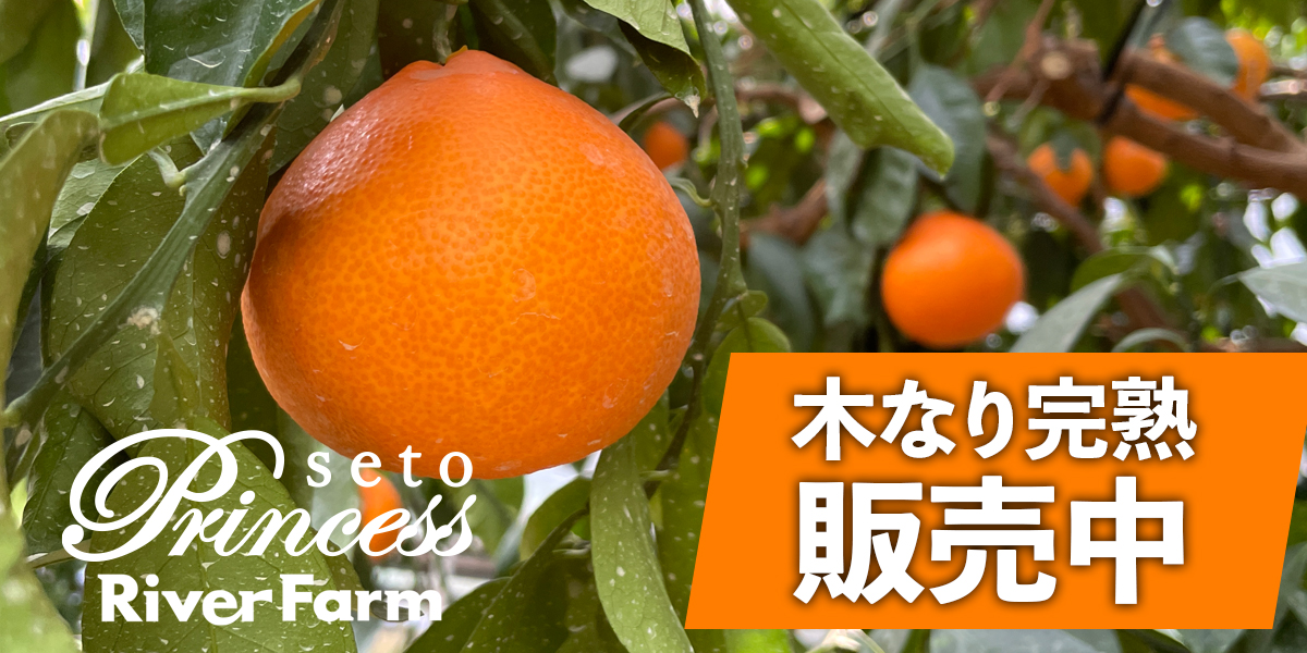 スライドショー