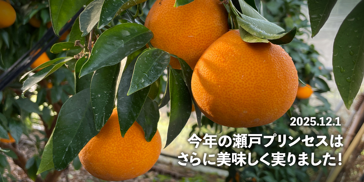 スライドショー