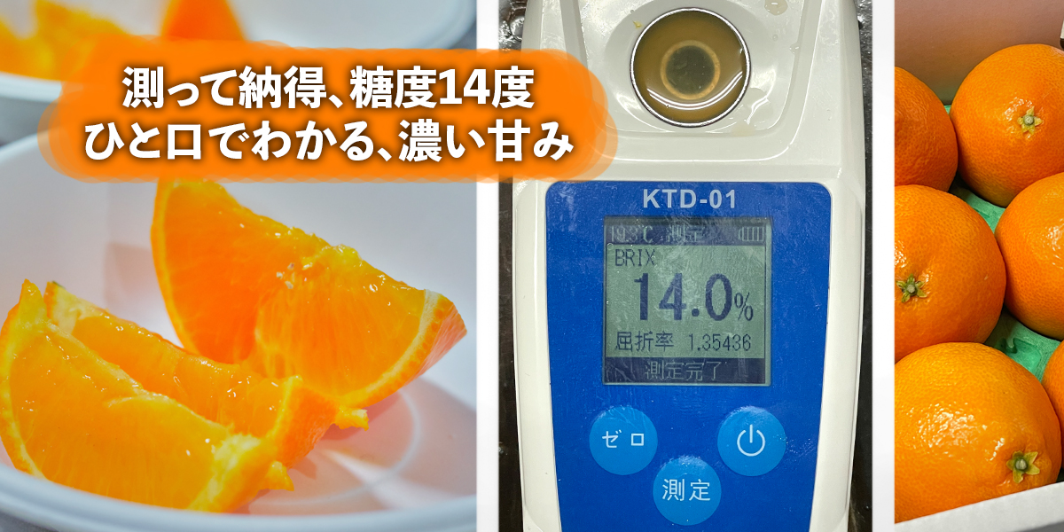 スライドショー